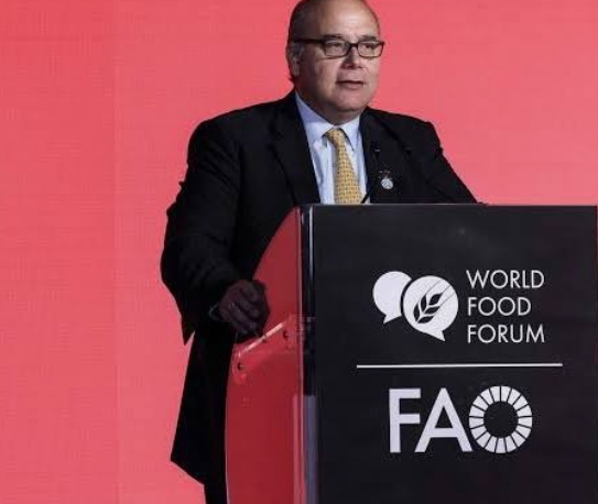 Food and Agriculture Organisation hosts emergency briefing mapping out strategic agrifood system restructures